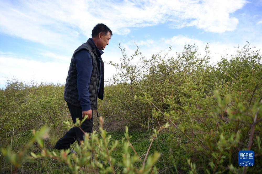 巴黎人游戏官网